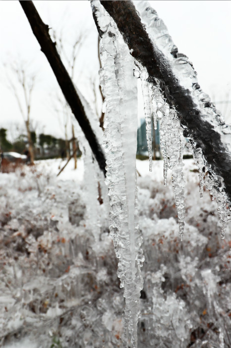 一場(chǎng)雪，體育中心美得不要不要的 但最美的風(fēng)景還是他們(圖4)