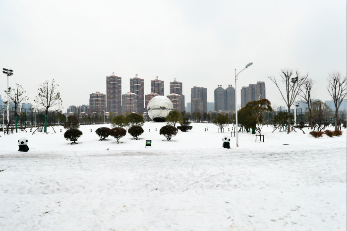 一場(chǎng)雪，體育中心美得不要不要的 但最美的風(fēng)景還是他們(圖2)