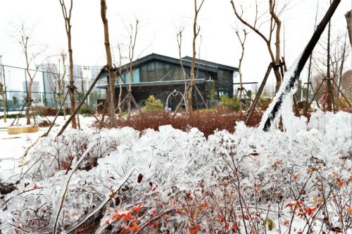 一場雪，體育中心美得不要不要的</br>但最美的風(fēng)景還是他們(圖2)